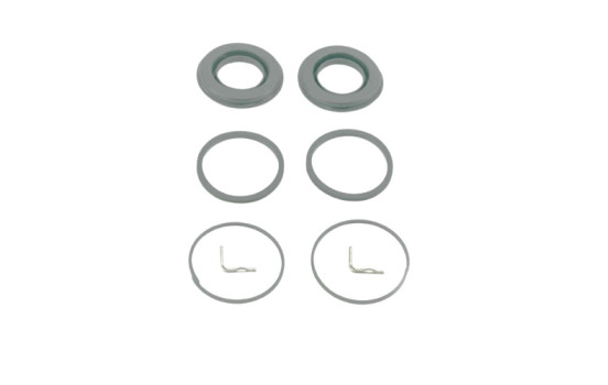 Gasket Set, brake caliper