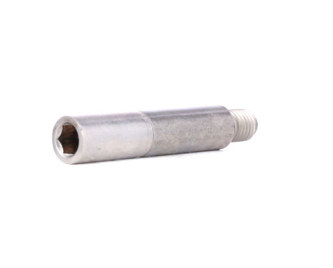 Guide Bolt, brake caliper