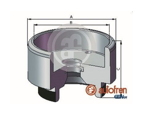 Piston, caliper