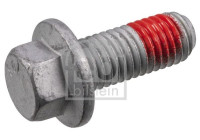 Screw, brake caliper 182456 FEBI