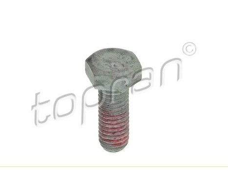 Screw, caliper