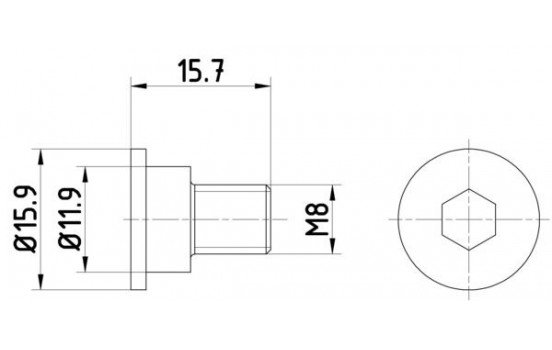 Bolt, brake disc