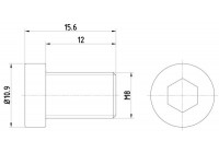 Bolt, brake disc