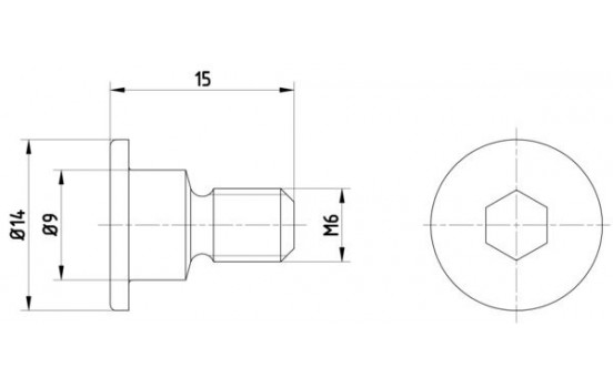 Bolt, brake disc