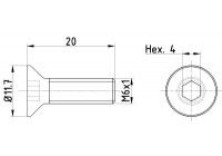 Bolt, brake disc