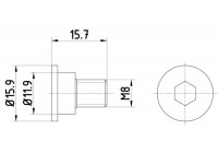 Bolt, brake disc