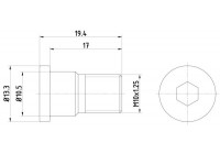 Bolt, brake disc