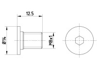 Bolt, brake disc