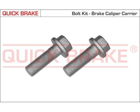 Screw, brake caliper