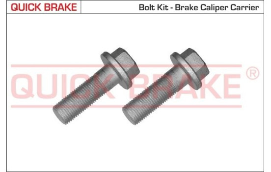 Screw, brake caliper