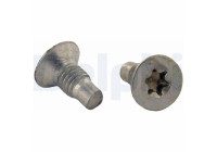 screw, brake disc