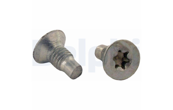 screw, brake disc