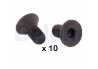 Screw, brake disc