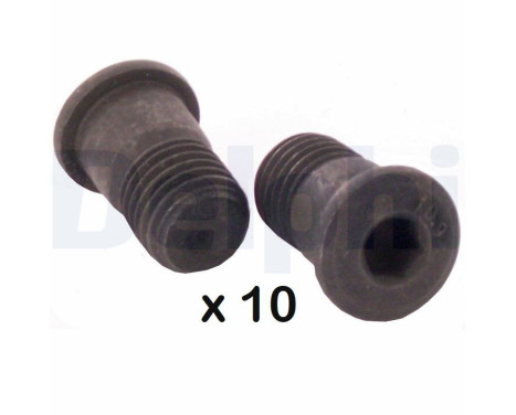 Screw, brake disc