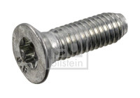 Screw, brake disc