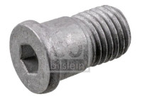 Screw, brake disc