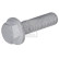 Screw, brake disc