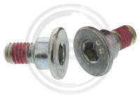 Screw, brake disc