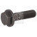 Screw, brake disc