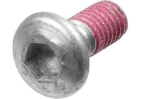 Screw set, brake disc