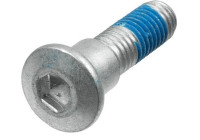 Screw set, brake disc