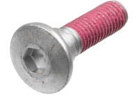 Screw set, brake disc