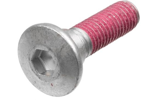 Screw set, brake disc