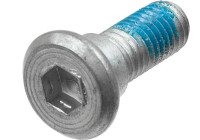 Screw set, brake disc