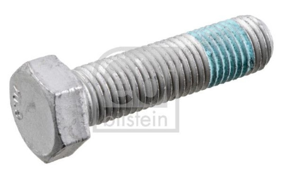 Bolt, brake caliper, Image 2