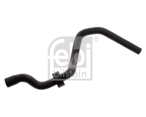 Radiator Hose, Image 2