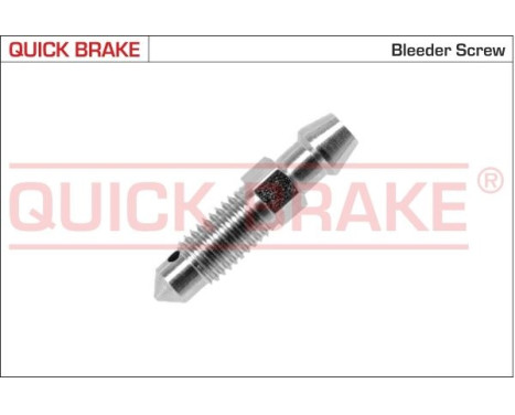Bleed screw/nipple