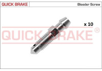 Bleed screw / nipple
