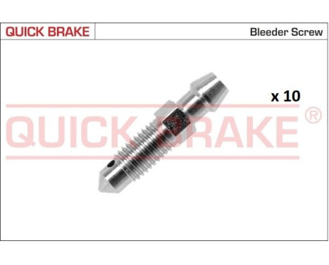 Bleed screw / nipple