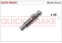 Bleed screw / nipple