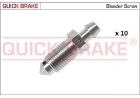 Bleed screw / nipple