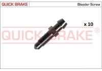 Bleed screw / nipple