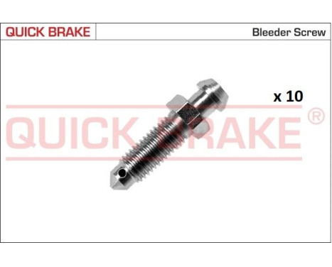 Bleed screw / nipple