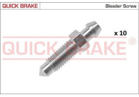 Bleed screw / nipple