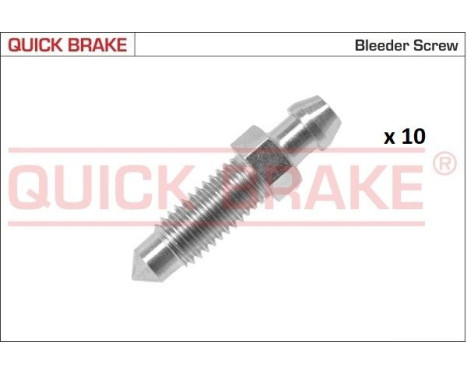 Bleed screw / nipple