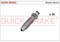 Bleed screw / nipple