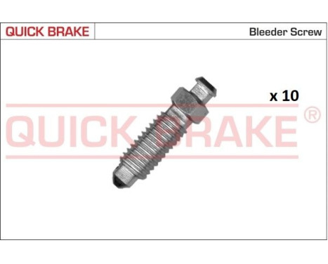 Bleed screw / nipple