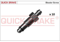 Bleed screw / nipple