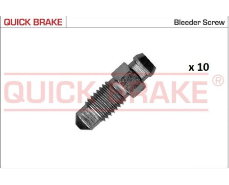 Bleed screw / nipple