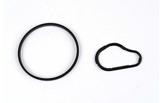 Gasket set, vacuum pump