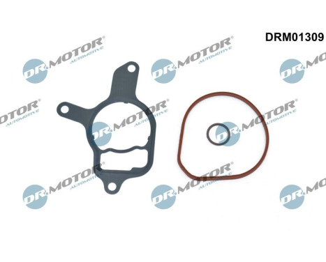 Gasket set, vacuum pump