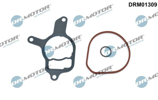 Gasket set, vacuum pump