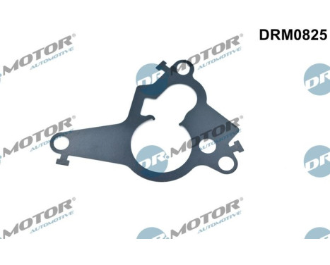 Gasket, vacuum pump piston