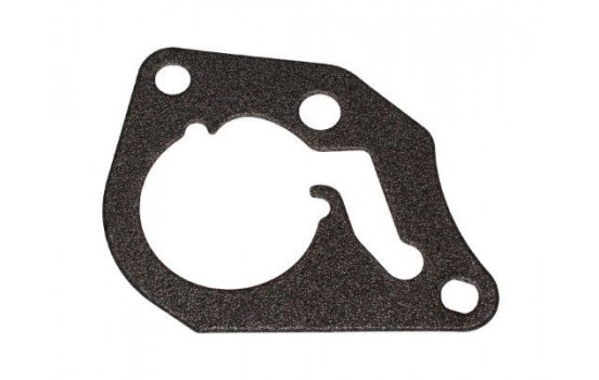 Gasket, vacuum pump