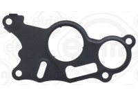 Gasket, vacuum pump