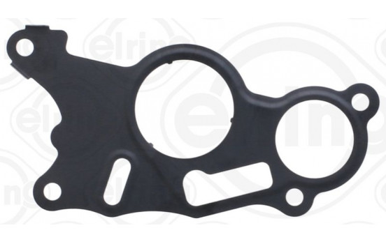 Gasket, vacuum pump